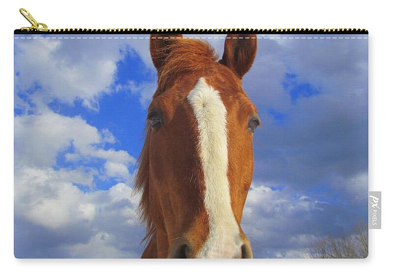 Tori Zip Pouch featuring the photograph Tori by Elizabeth Dow