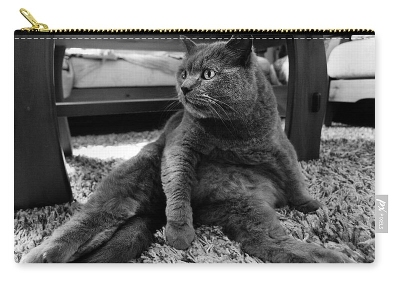 Cat Zip Pouch featuring the photograph Totally relaxed by Laura Melis
