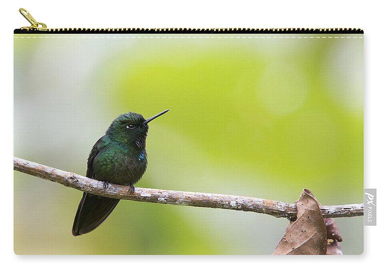 Tourmaline Sunangel Zip Pouch featuring the photograph Tourmaline Sunangel hummingbird by Tony Mills