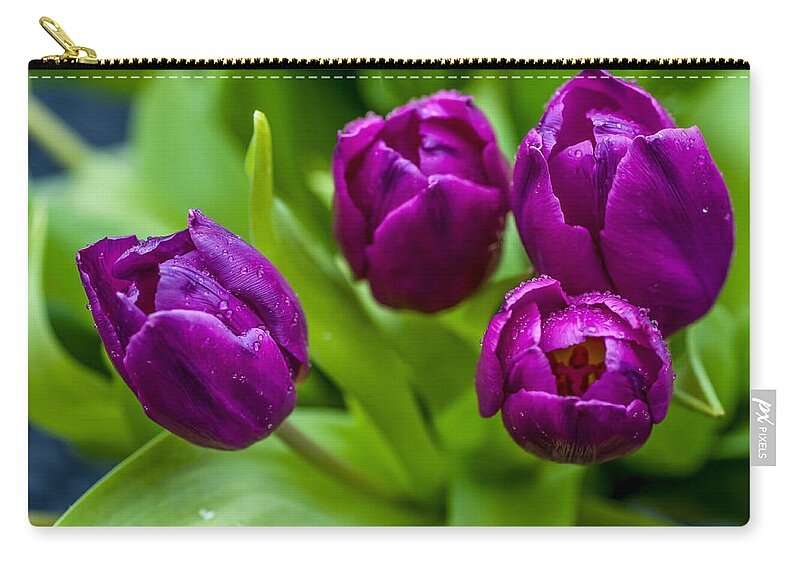 Tulip Zip Pouch featuring the photograph Towards You. Purple Tulips by Jenny Rainbow