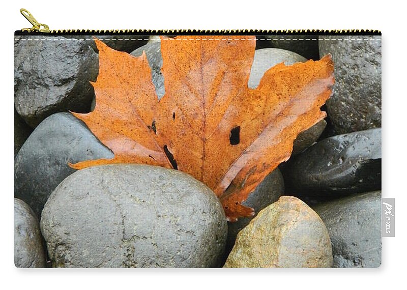 Autumn Carry-all Pouch featuring the photograph Trapped by Gallery Of Hope 