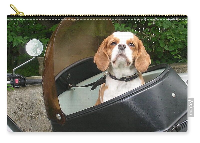 Dog Zip Pouch featuring the photograph Traveling Dog by Kazumi Whitemoon