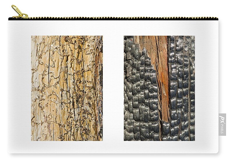 Bark Zip Pouch featuring the photograph Tree barks by Perry Van Munster