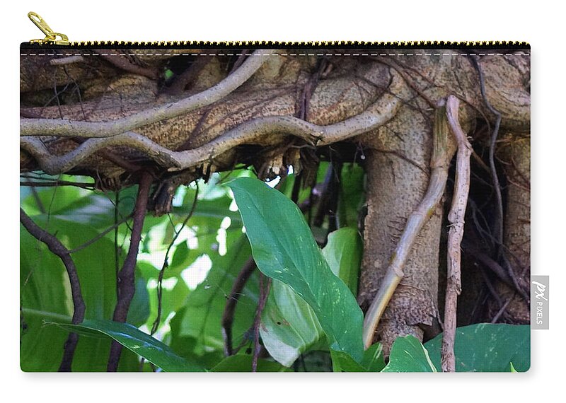 Tree Zip Pouch featuring the photograph Tree Branch by Rafael Salazar