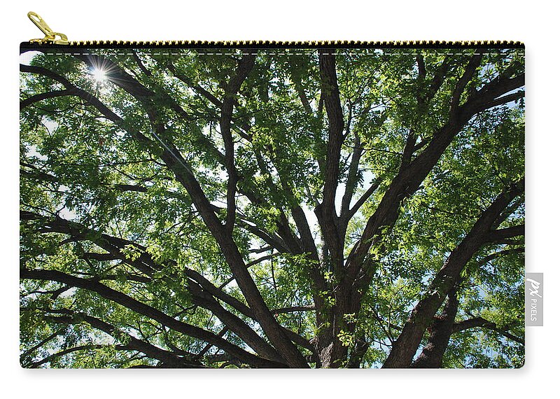 Tree Zip Pouch featuring the photograph Tree Canopy Sunburst by Kenny Glover