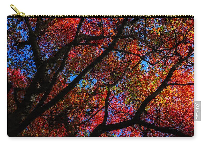 Tree Zip Pouch featuring the photograph Tree Color Blast by Joseph Hedaya