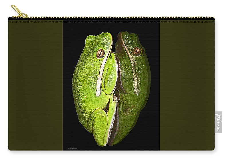 Tree Frog Canvas Print Zip Pouch featuring the photograph Tree Frog Reflection by Lucy VanSwearingen