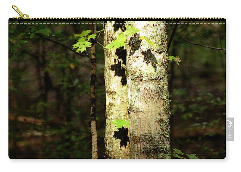 Tree Zip Pouch featuring the photograph Tree In The Woods by Pamela Critchlow