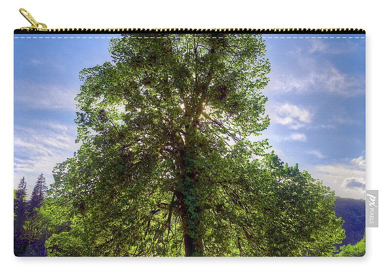 Autumn Zip Pouch featuring the photograph Tree by Ivan Slosar