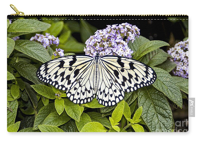 Reiman Gardens Zip Pouch featuring the photograph Reiman Gardens Tree Nymph Butterfly One by Bob Phillips