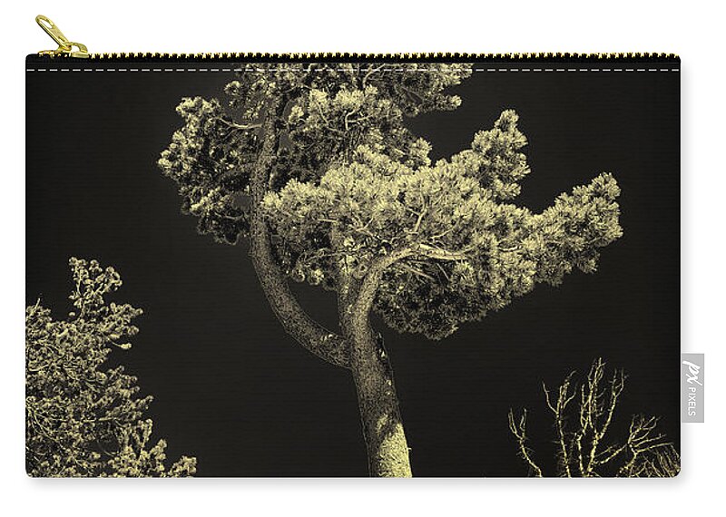 Black And White Zip Pouch featuring the photograph Tree Portrait Black and White by Greg Norrell