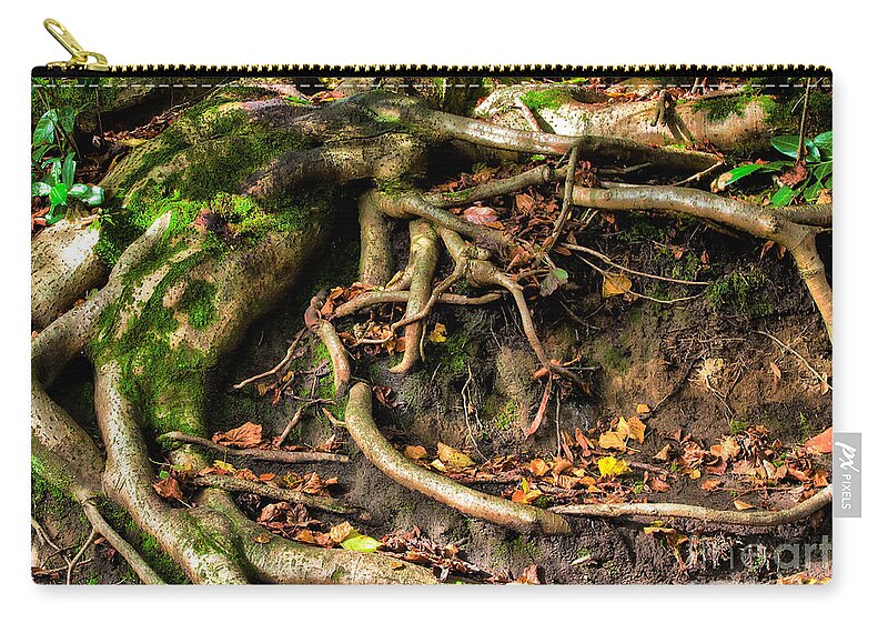 Nature Zip Pouch featuring the photograph Tree roots escaping by Simon Bratt