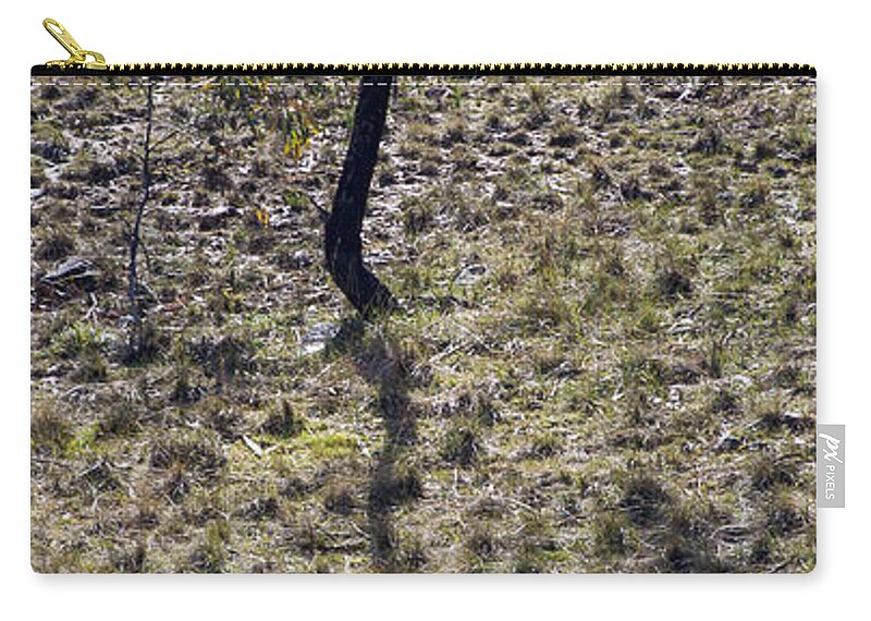 Australia Zip Pouch featuring the photograph Australia - Eucalyptus Tree Shadow by Steven Ralser