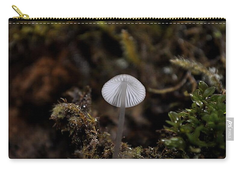 Tiny Zip Pouch featuring the photograph Tree 'Shroom by Cathy Mahnke