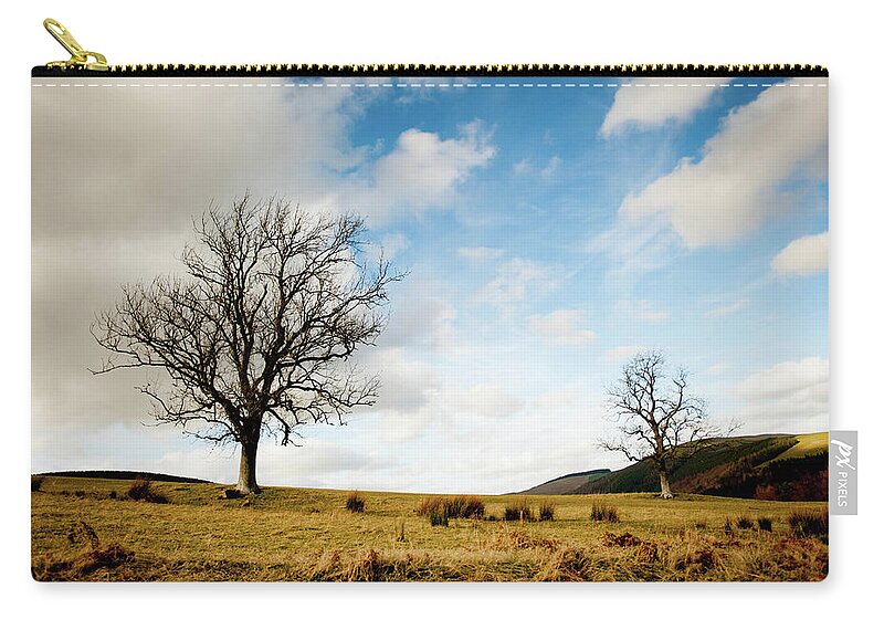 Tranquility Zip Pouch featuring the photograph Trees From Lindinny Woodssouthern by Iain Maclean
