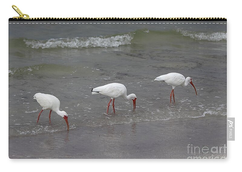 Egret Zip Pouch featuring the photograph Tres by Rick Kuperberg Sr