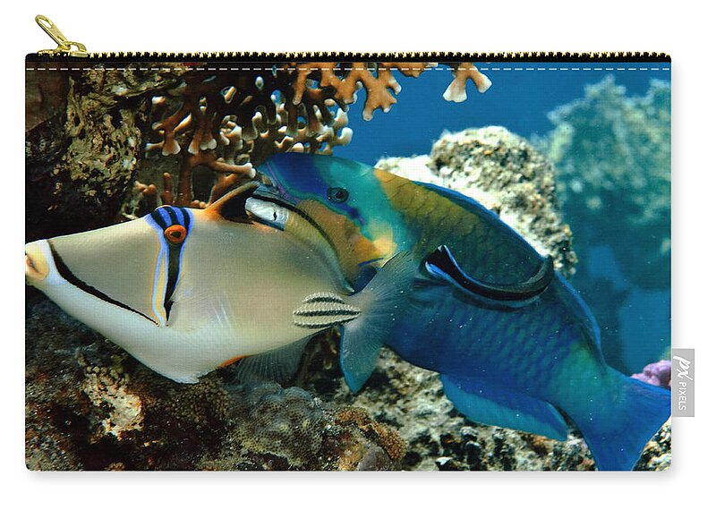 Underwater Zip Pouch featuring the photograph Trigger Fish And Parrot Fish In Water by Photo Acqua E Luce Di Mauro Mainardi