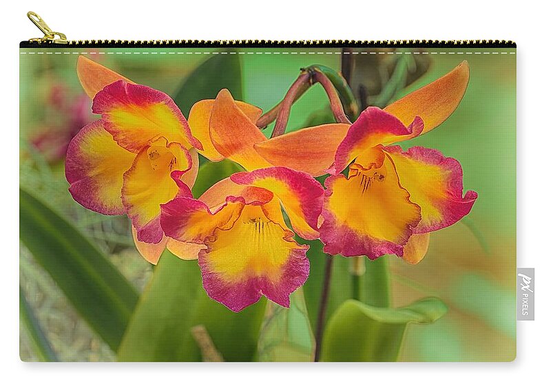 Flower Of The Day Zip Pouch featuring the photograph Orchid Trio by Jade Moon