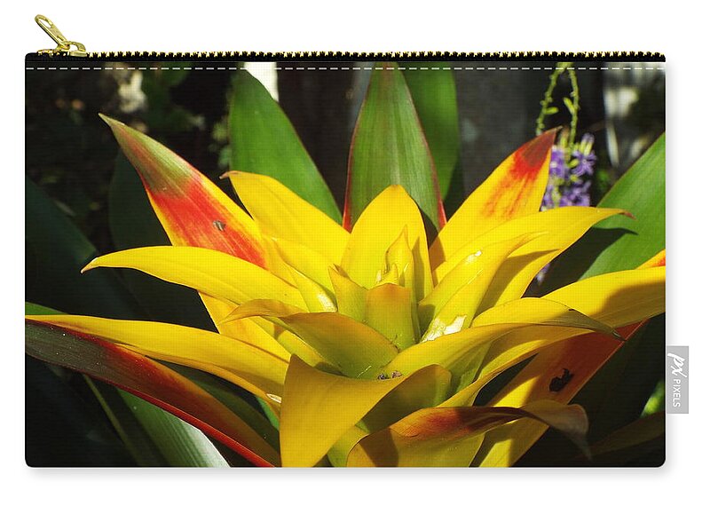 Yellow Zip Pouch featuring the photograph Tropical by Caryl J Bohn