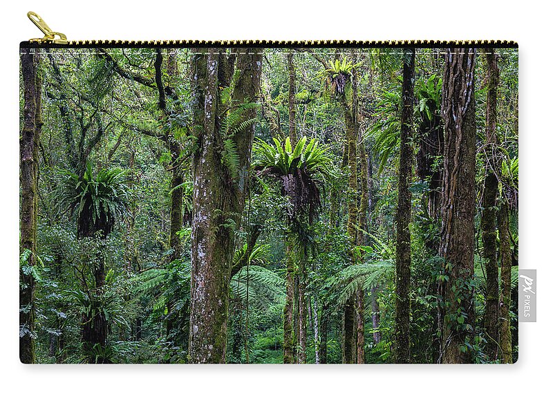 Tropical Rainforest Zip Pouch featuring the photograph Tropical Rain Forest by Gavriel Jecan