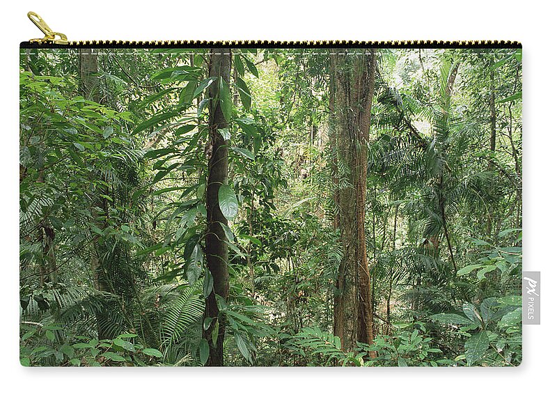 Feb0514 Zip Pouch featuring the photograph Tropical Rainforest Bellenden Ker by Gerry Ellis