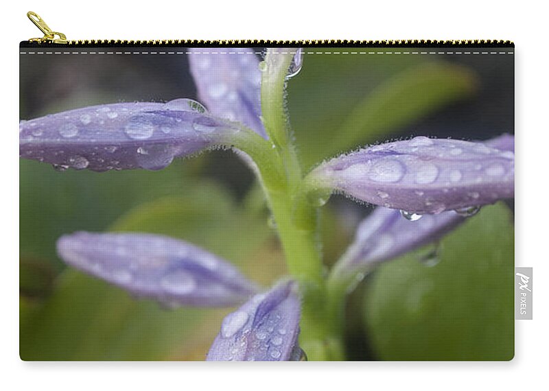 Rain Zip Pouch featuring the photograph Tropical Rains by Miguel Winterpacht