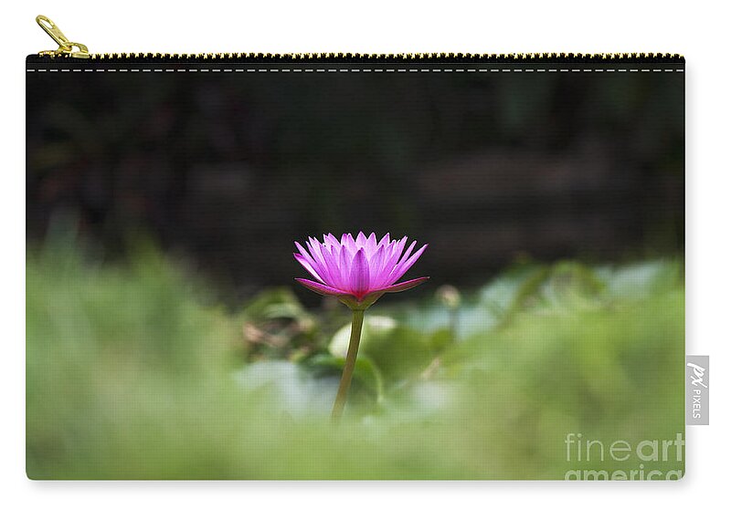 Nymphaea Zip Pouch featuring the photograph Tropical Water Lily by Tim Gainey