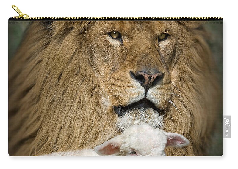 Lion And Lamb Zip Pouch featuring the photograph True Companions by Wildlife Fine Art