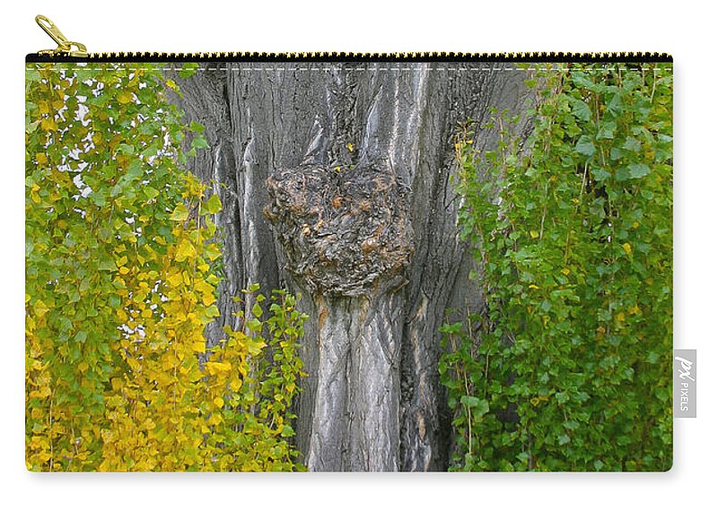 Tree Zip Pouch featuring the photograph Trunk lines by Jenny Setchell