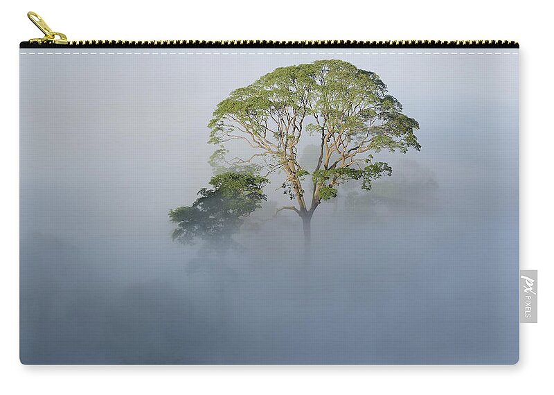 Ch'ien Lee Carry-all Pouch featuring the photograph Tualang Tree Above Rainforest Mist by Ch'ien Lee