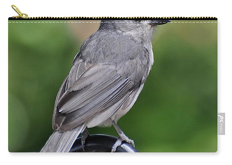 Birds Carry-all Pouch featuring the photograph Tufted Titmouse by Kathy Baccari