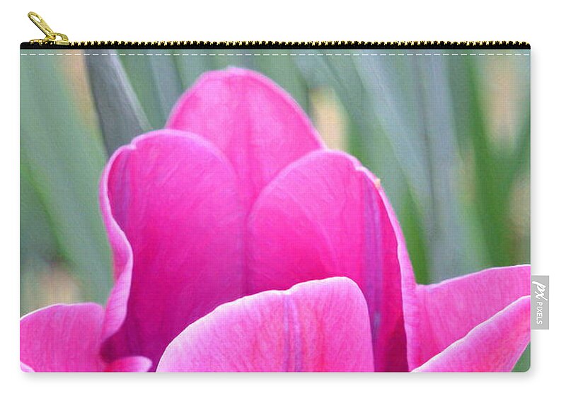 Floral Zip Pouch featuring the photograph Tulip 53 by Pamela Cooper