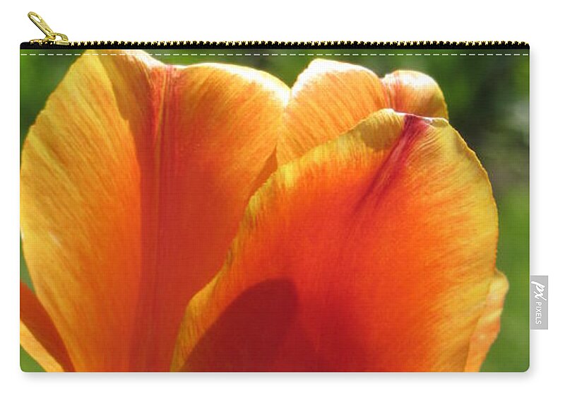 Tulip Zip Pouch featuring the photograph Tulip Backlit 9 by Anita Burgermeister