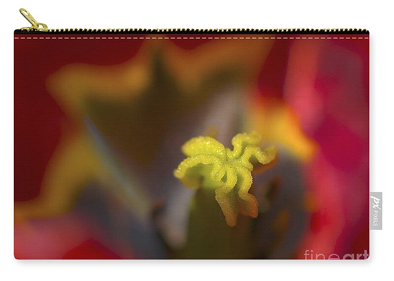 Tulip Zip Pouch featuring the photograph Tulip Center by Sharon Talson