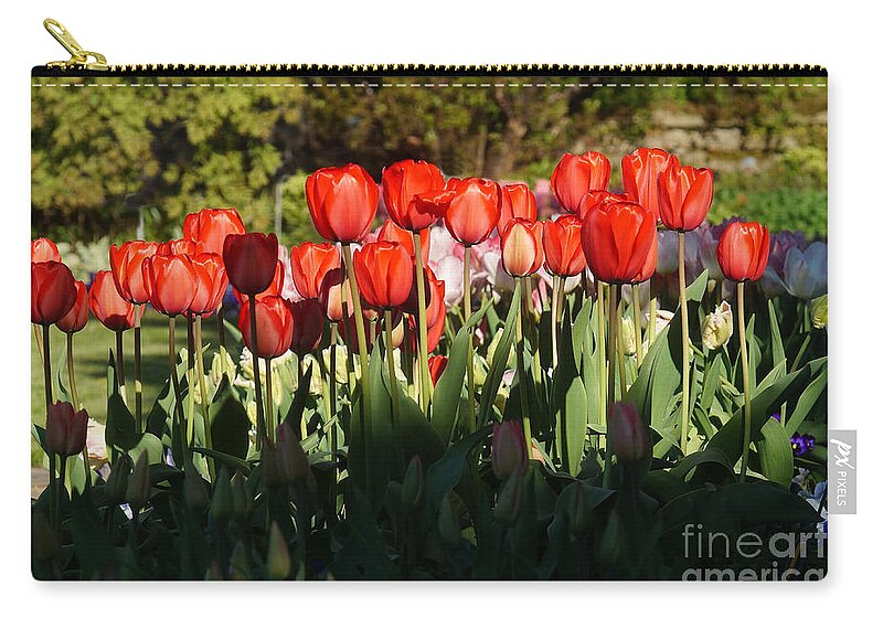 Nature Zip Pouch featuring the photograph Tulip Field 2 by Rudi Prott