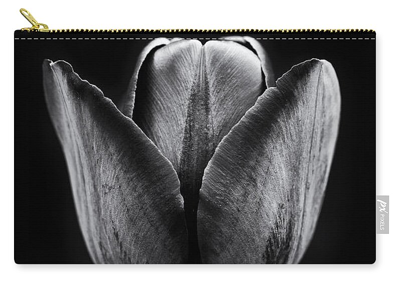 Tulip Zip Pouch featuring the photograph Tulip Queen of the Night by Tim Gainey