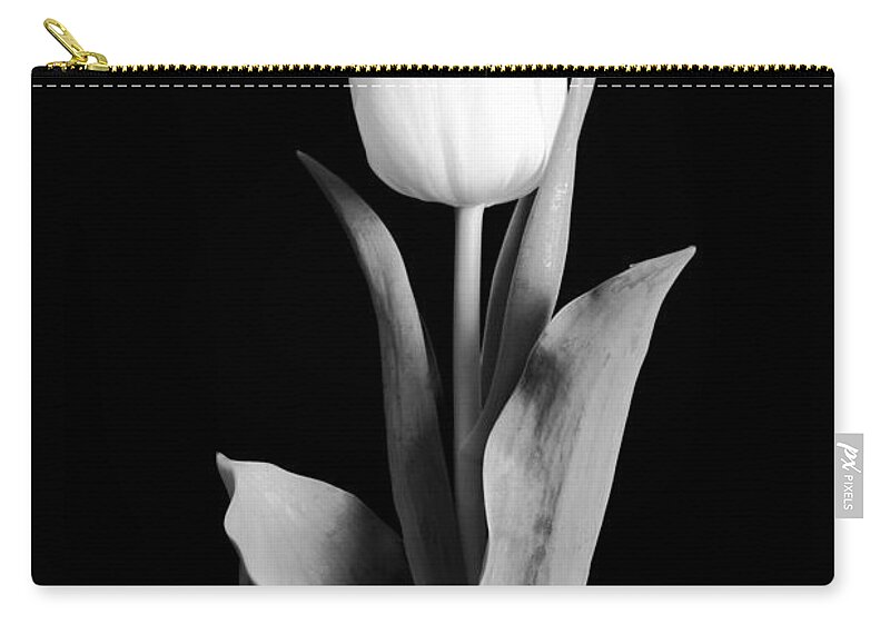 Tulip Carry-all Pouch featuring the photograph Tulip by Sebastian Musial