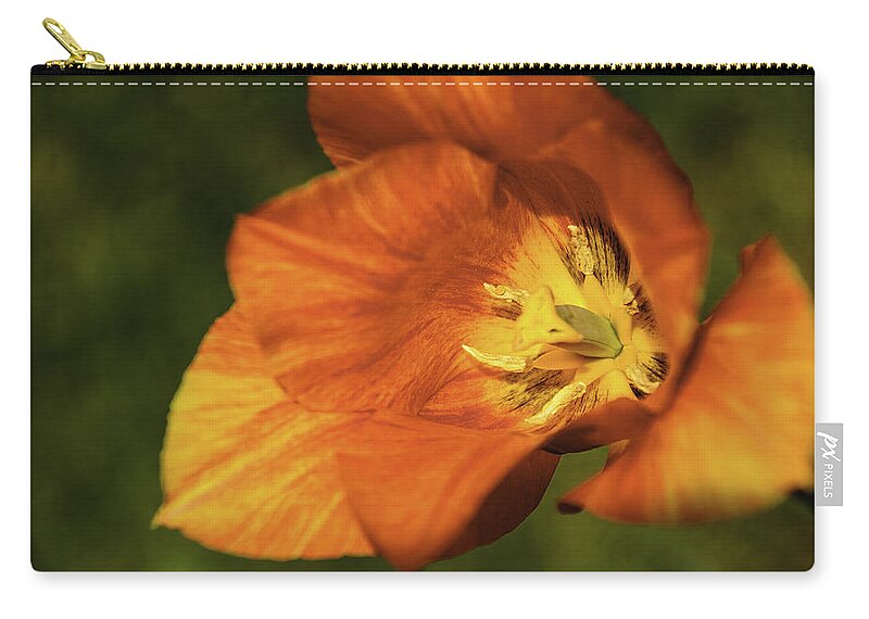 Usa Zip Pouch featuring the photograph Tulip Time Orange Vision by LeeAnn McLaneGoetz McLaneGoetzStudioLLCcom