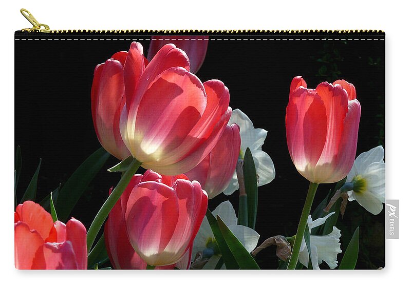 Flowers Zip Pouch featuring the photograph Tulips and Daffodils by Lucinda Walter