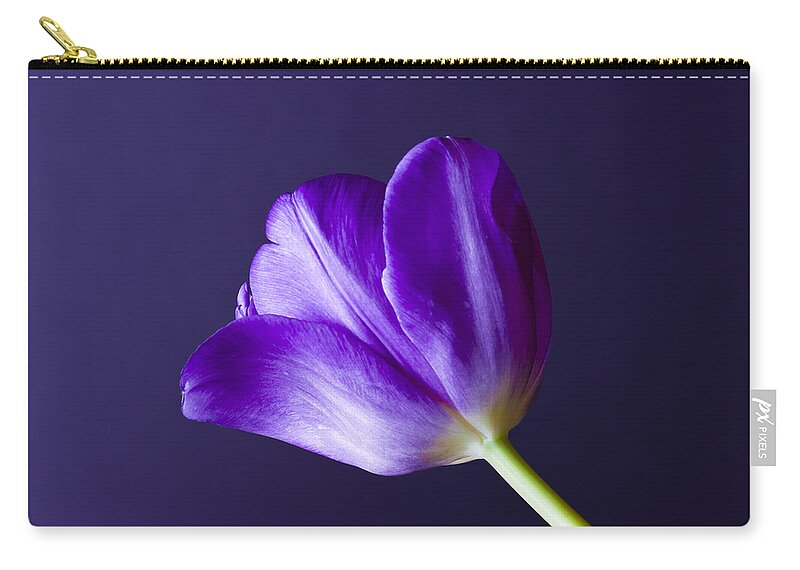 Blossom Zip Pouch featuring the photograph Tulips Bloom As They Are Told by Christi Kraft