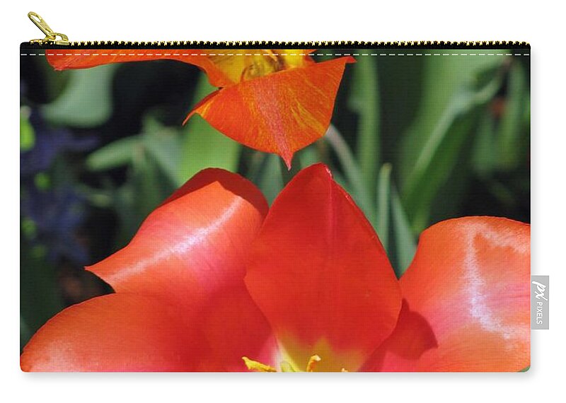 Tulip Zip Pouch featuring the photograph Tulips - Desire 03 by Pamela Critchlow