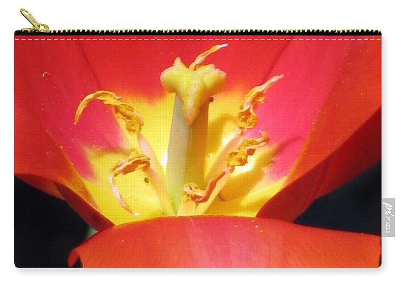 Tulip Zip Pouch featuring the photograph Tulips - Filled With Desire 08 by Pamela Critchlow