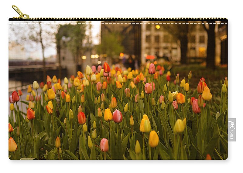 Chicago Zip Pouch featuring the photograph Tulips in Chicago by Miguel Winterpacht