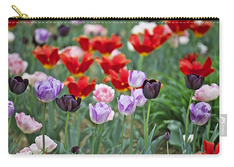Garden Zip Pouch featuring the photograph Tulips by Ivan Slosar
