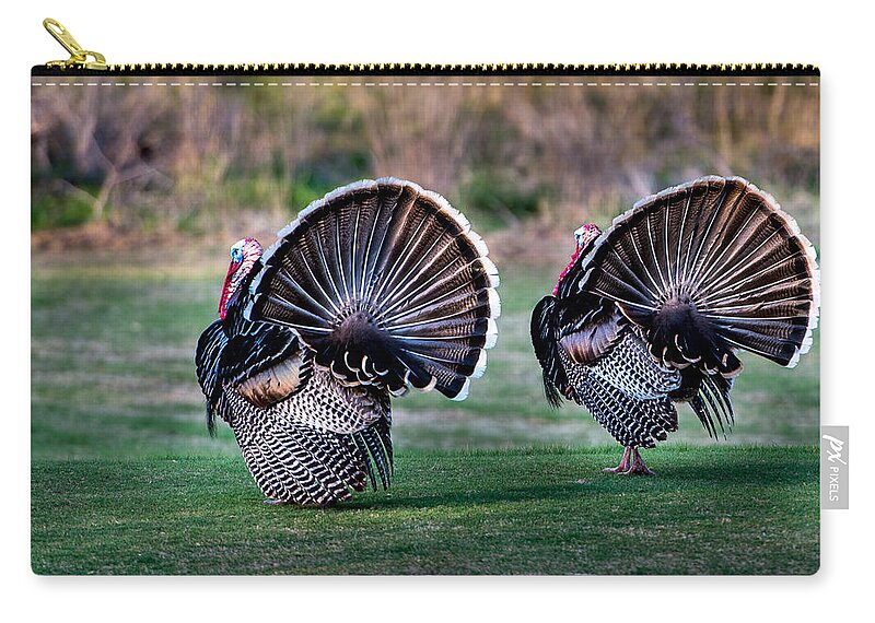 Bird Zip Pouch featuring the photograph Turkey by John Johnson