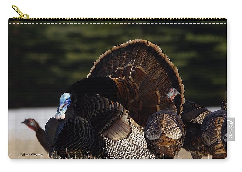 Turkeys Zip Pouch featuring the photograph Turkey's by Steven Clipperton