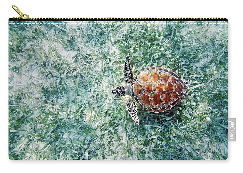 Animal Art Zip Pouch featuring the photograph Turtle Underwater Scene by M Swiet Productions