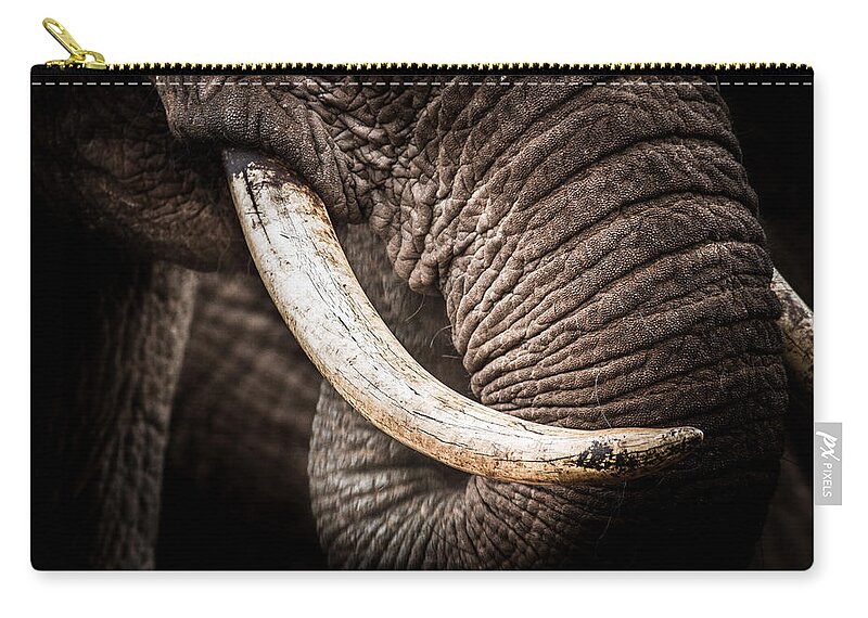 Abedare Mountains Zip Pouch featuring the photograph Tusks And Trunk by Mike Gaudaur