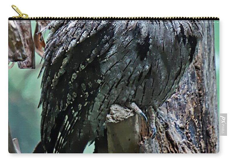 Tawny Frogmouth Zip Pouch featuring the photograph Twany Frogmouth by Lilliana Mendez