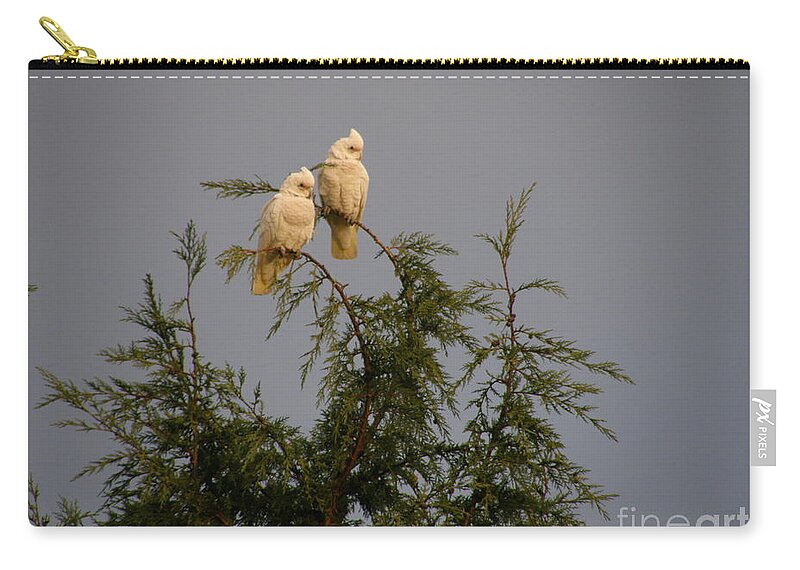 Cockatoo Zip Pouch featuring the photograph Twin Cockatoos by Bev Conover